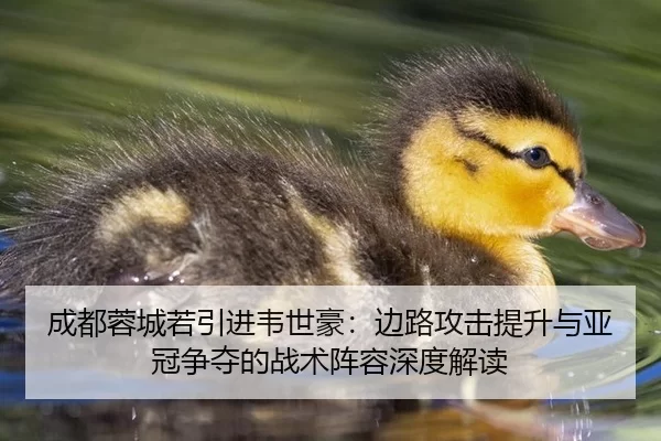 成都蓉城若引进韦世豪：边路攻击提升与亚冠争夺的战术阵容深度解读
